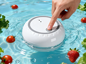 fruit and vegetable purifier