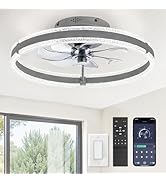 LEDIARY Ceiling Fans with Lights and Remote, 20'' Low Profile Ceiling Fan with Light, 3000-6000K ...