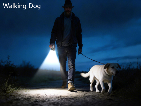 dog walking flashlight dog light clip on