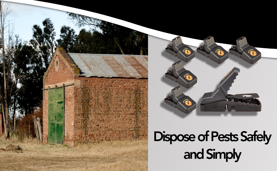 Bullseye - 6 Pack - Rat Traps with Teeth - Indoor/Outdoor, Reusable, Easy Setup, Powerful Stainless 