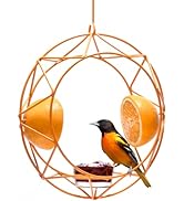 MEKKAPRO Sun Baltimore Oriole Feeder for Outdoors, Jelly and Orange Metal Bird Feeder, Unique Sun...