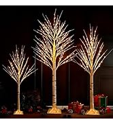 TW SHINE Set of 3 Lighted Birch Tree, 4FT 6FT 8FT White Artificial Christmas Tree with Total 456 ...