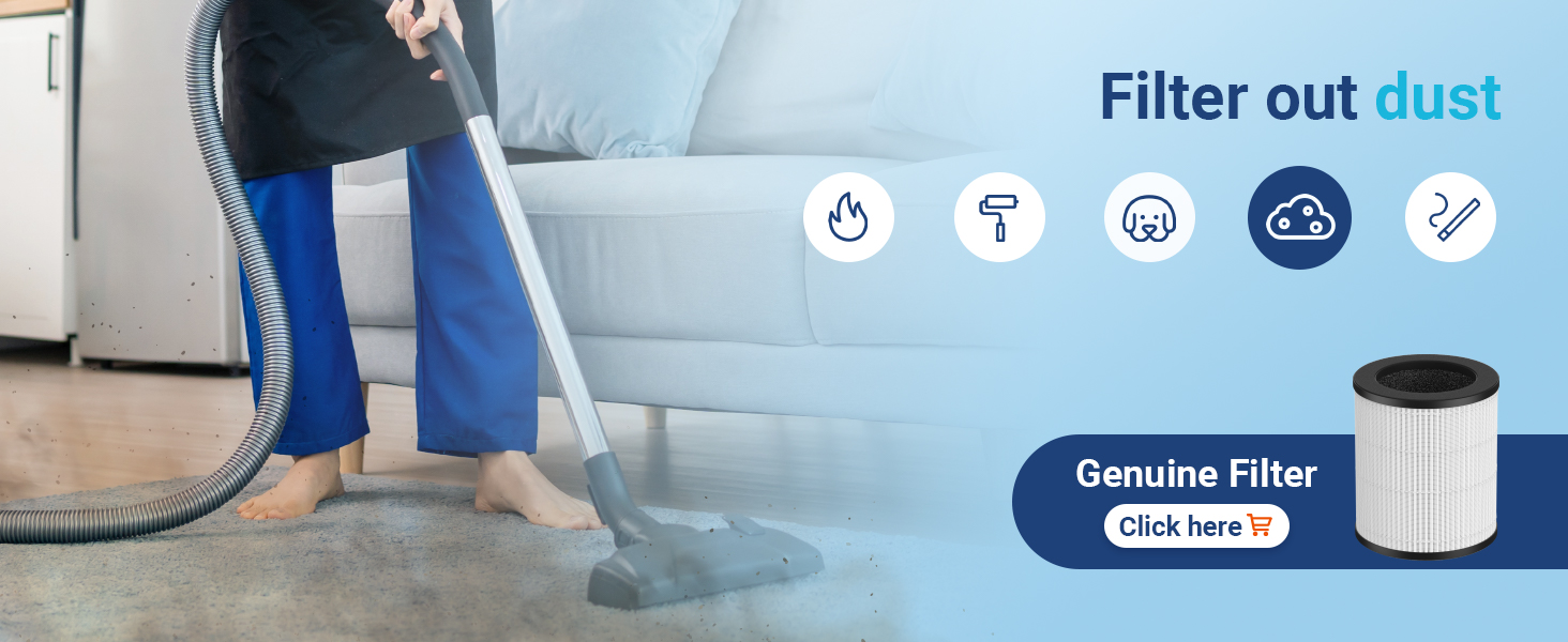 indoor air purifier for dust