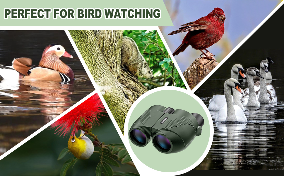 Perfect for bird watching