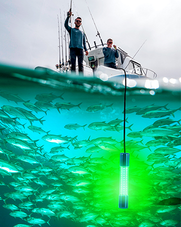 LED Fish Bait Light