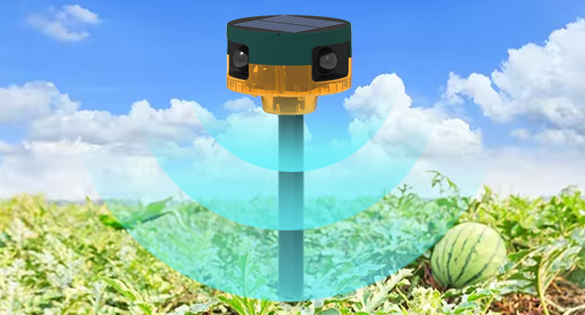 solar security light door security devices coyote deterrent dog deterrent dog deterrent devices