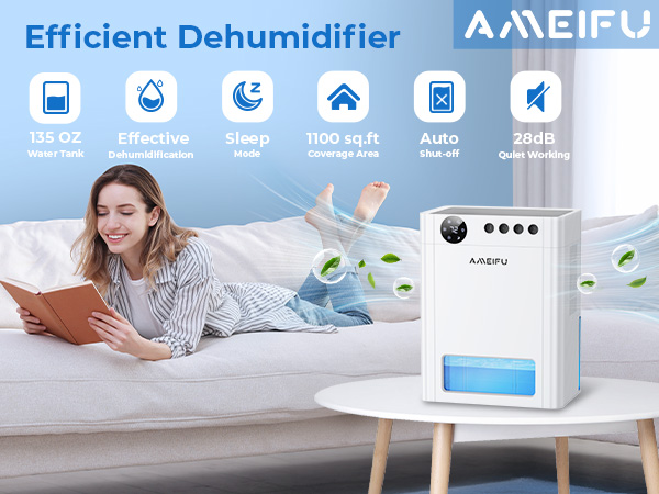 Dehumidifier