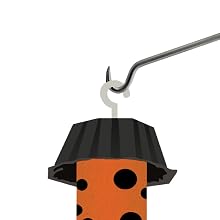 jumbo flies catcher