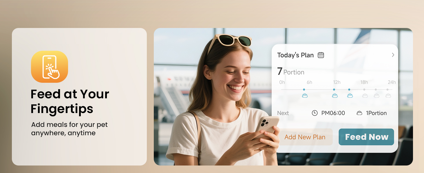 timed cat feeders for dry food