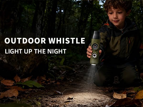 Whistle