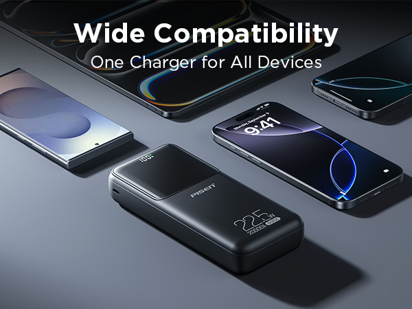 PISEN Power Bank