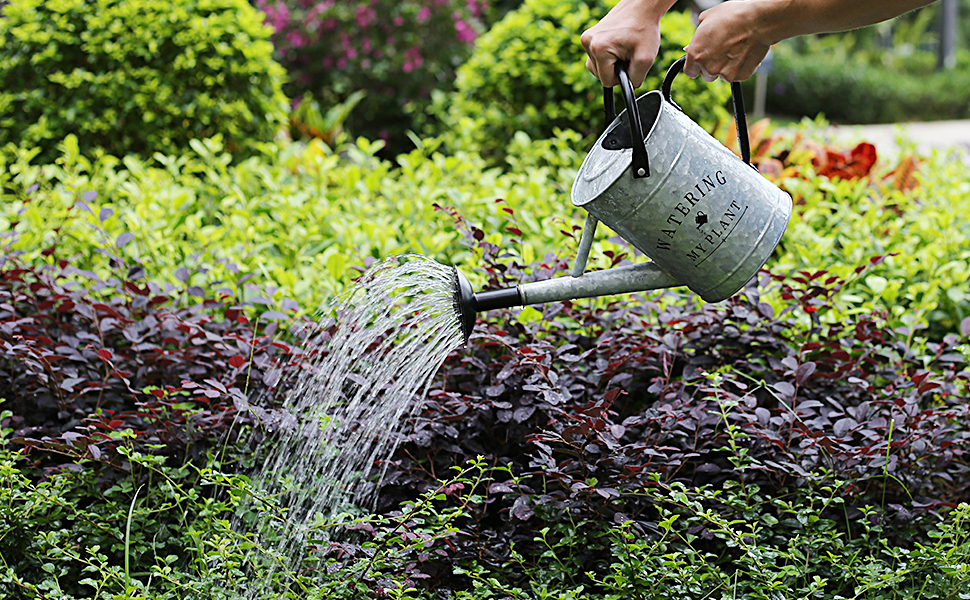 watering can for outdoor