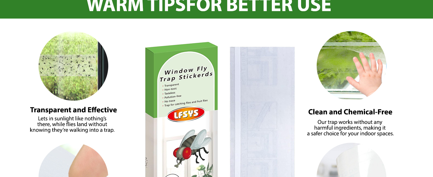 Window fly trap