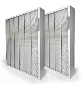 Nispira HVAC Air Filter Cartridge Replacement Compatible with Bryant/Carrier GAPBBCAR2025/ GAPCCC...