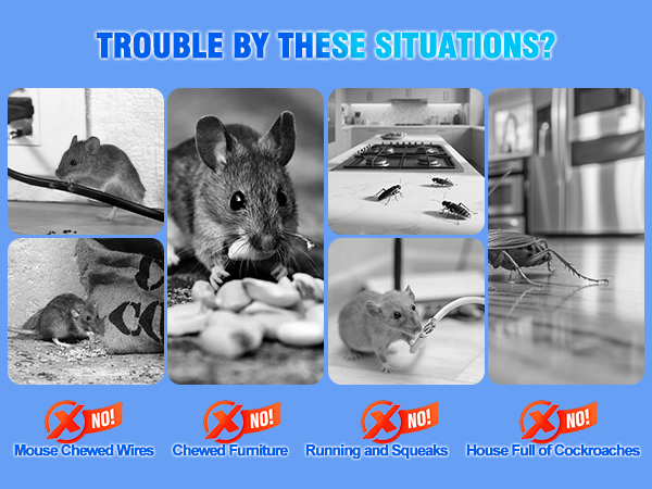 Ultrasonic Pest Repellent