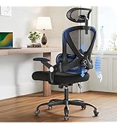 HUANUO Ergonomic Office Chair, High Back Desk Chair with Up&amp;Down Lumbar Support, 3D Flip-Up Armre...