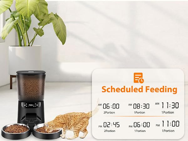 cat automatic feeders