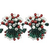 BOHON Christmas Lights Outdoor Pack of 2 Sets 19FT 70 LEDs Multi Color UL Certified Christmas Str...