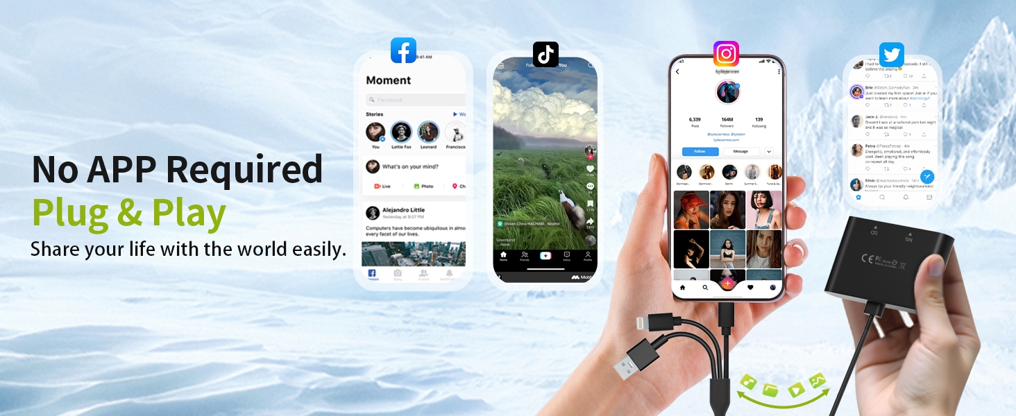 memory stick pro duo adapter