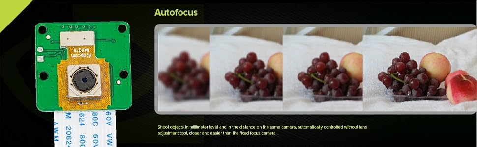 Auto focus camera module