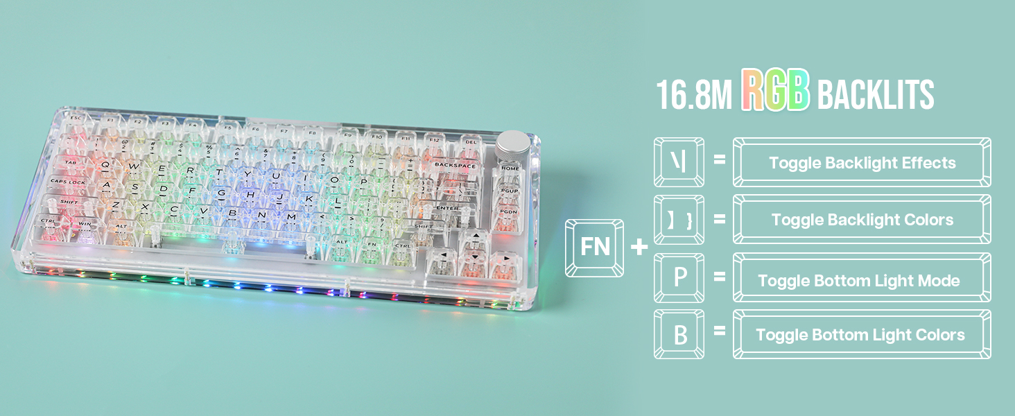 Phantom 81 V3