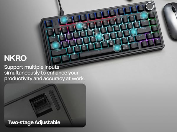 75% Gaming Keyboard with Knob