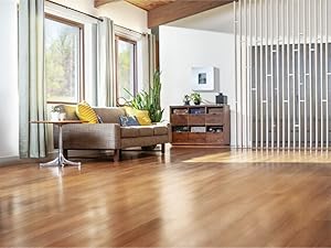 multi-surface pet solution