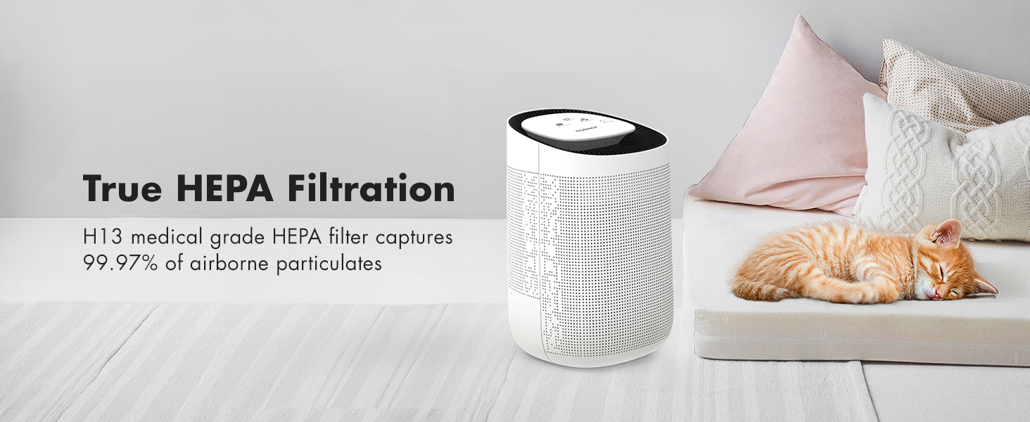 True H13 medical grade HEPA filtration, captures 99.97% of aribone particulates