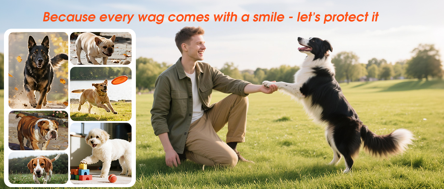 anti barking device for dogs