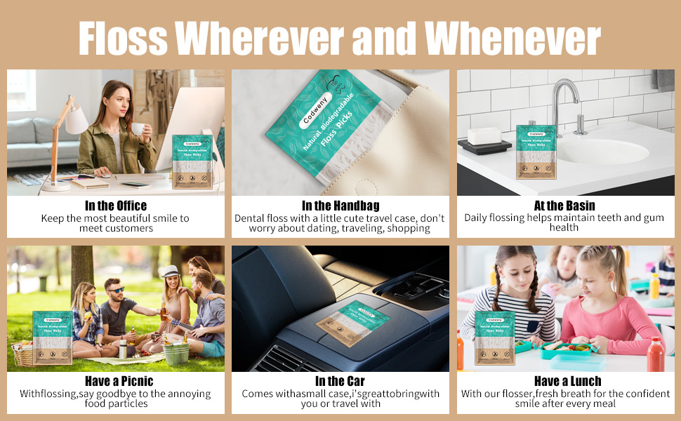 Biodegradable Dental Floss Picks 