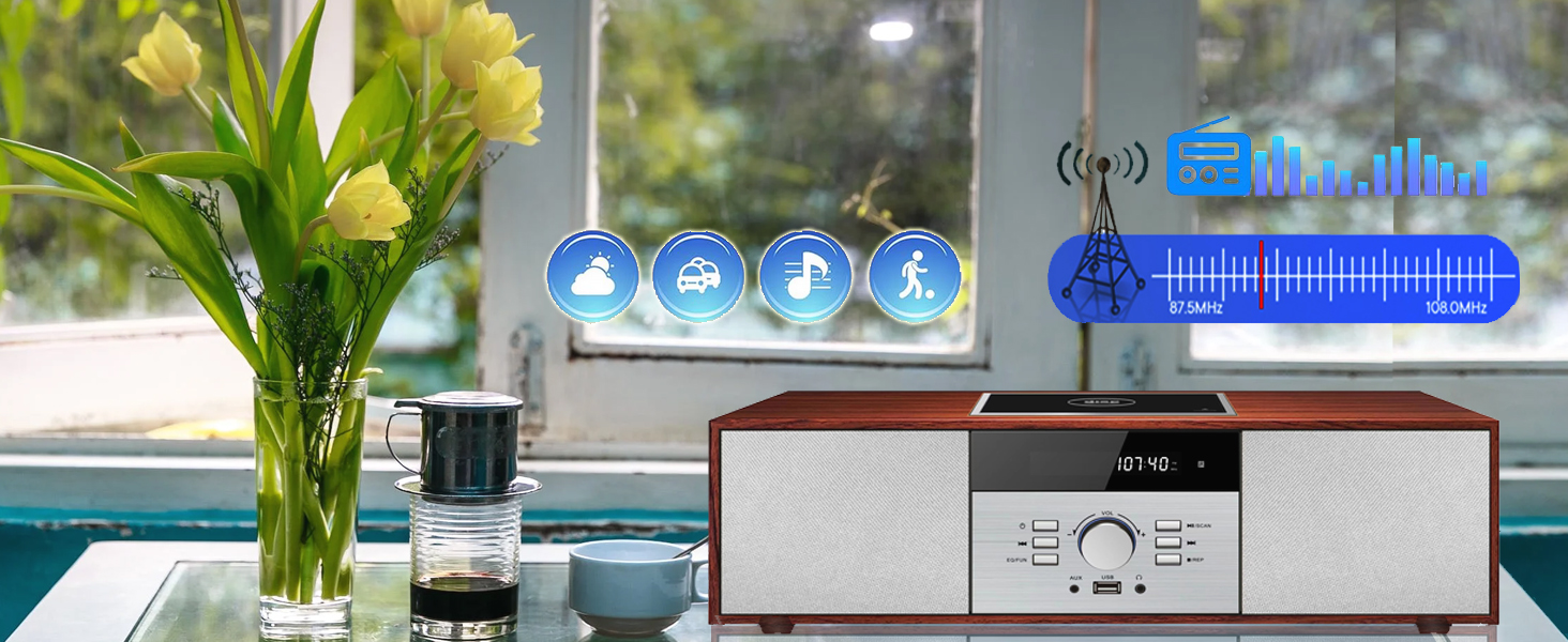 FM Radio Stereo System