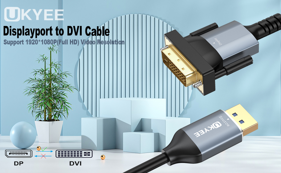 DP-DVI CABLE 6FT