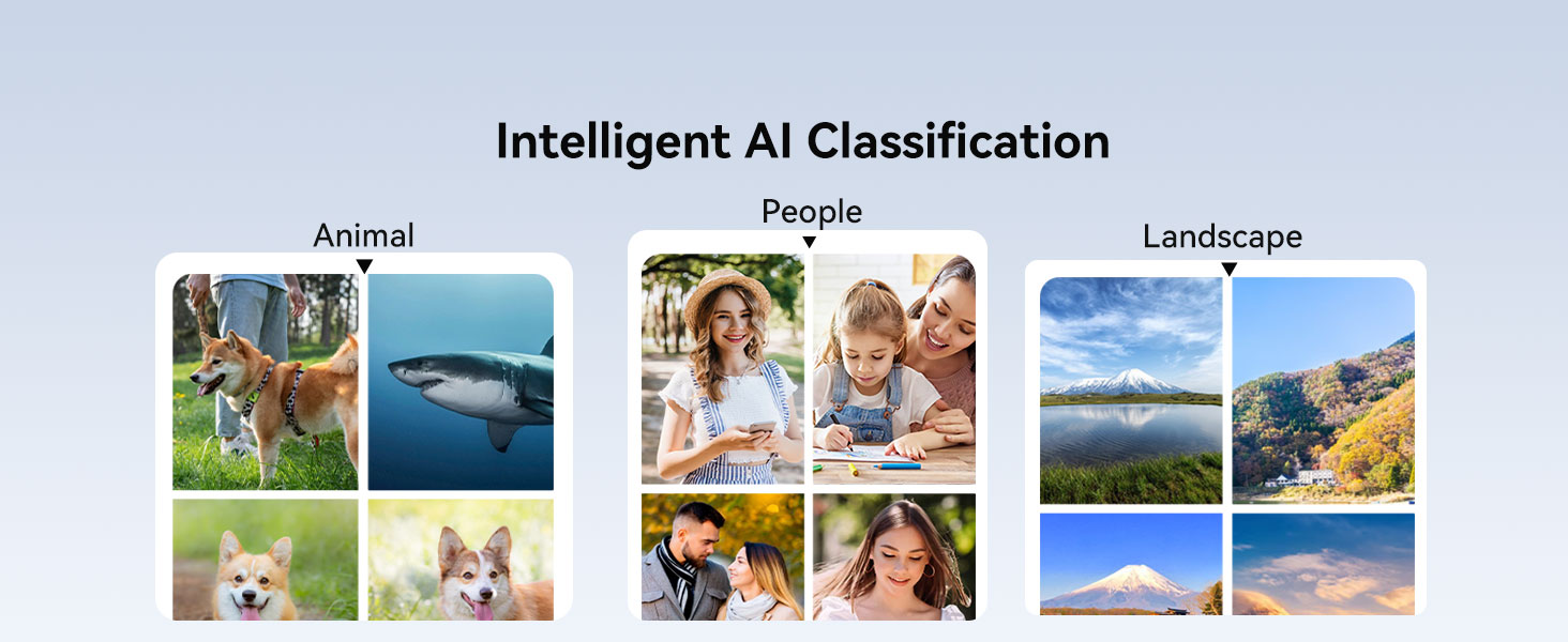 Classification