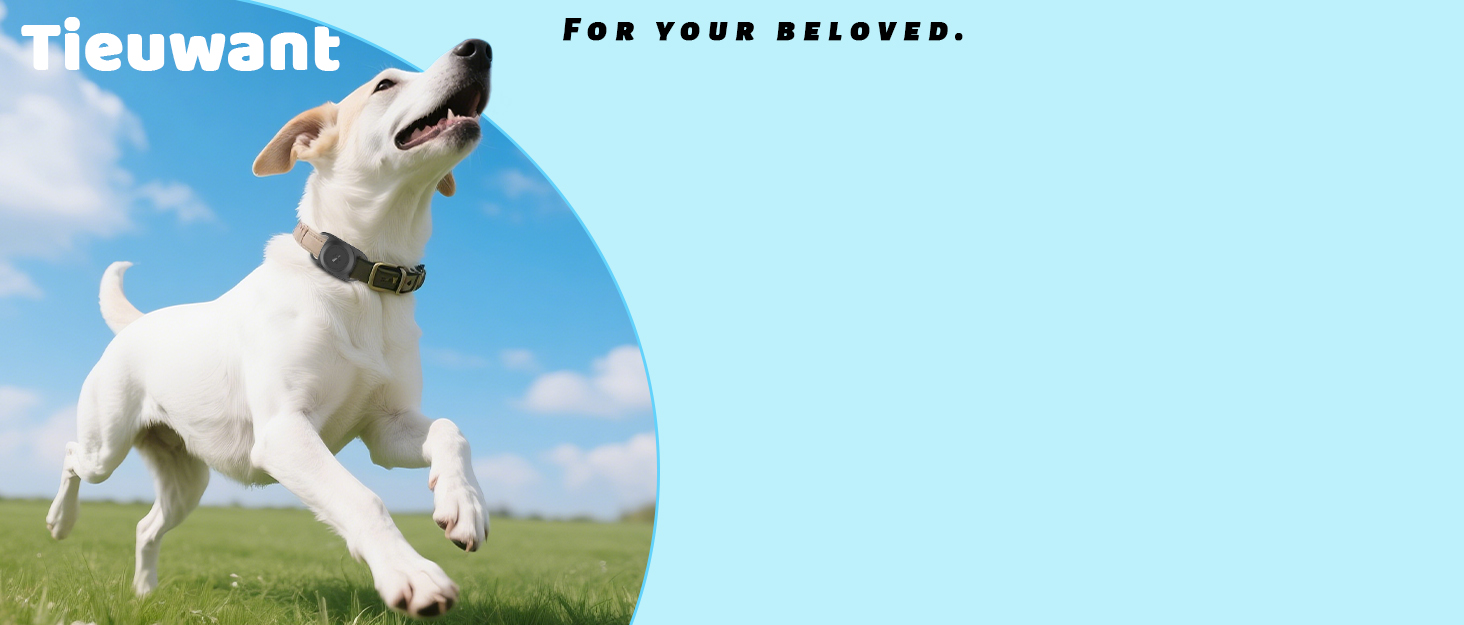 airtag dog collar holder