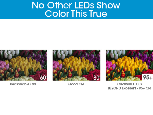 No Other LEDs Show Color This True Color Rendering Index CRI Comparison 95+ High Quality