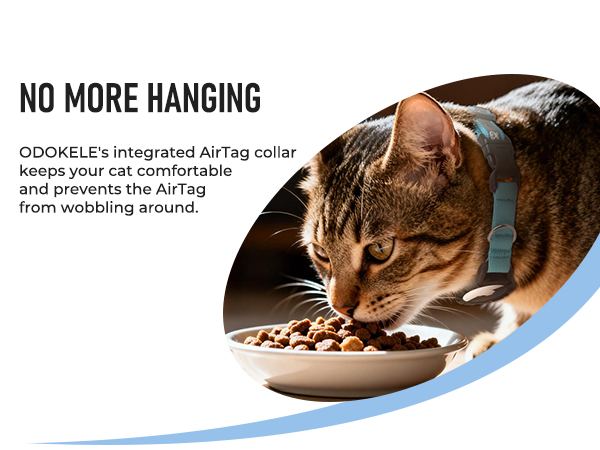 cat collar airtag holder