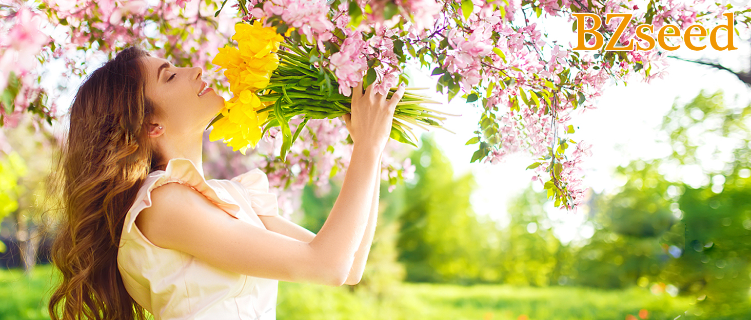 Aromatherapy Diffusers