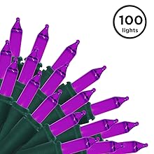 purple 100 lt
