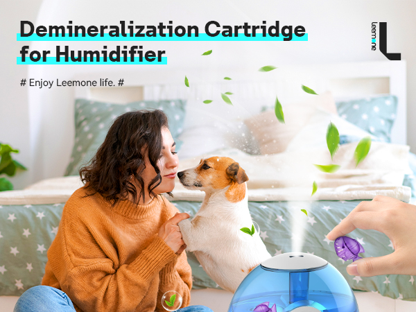 Demineralization Cleaning for Humidifier