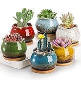 TOPZEA Set of 6 Succulent Plant Pots, 4 Inch Glazed Ceramic Pots with Drainage and Saucer, Mini B...