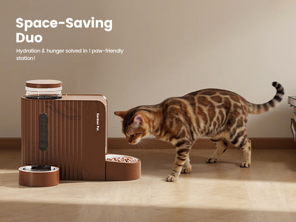 cat water and food dispenser