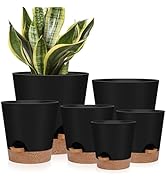 YNNICO Indoor Self Watering Planters with Drainage Holes and Saucers, 8, 7, 6.5, 6, 5.5, 5 Inches...