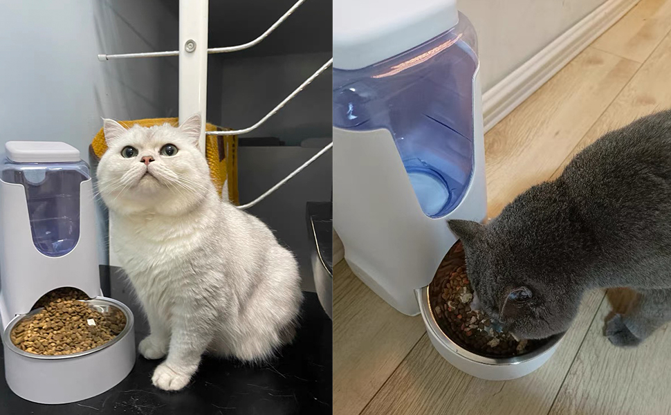 Pets Automatic Food Dispenser