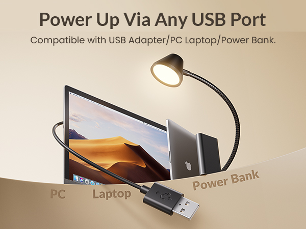 book lights for reading at night