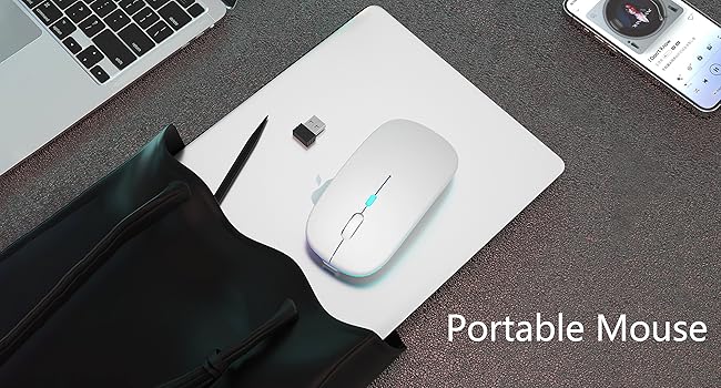 Portable Mouse