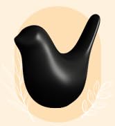 Ceramic Black Birds Toilet Bolt Caps