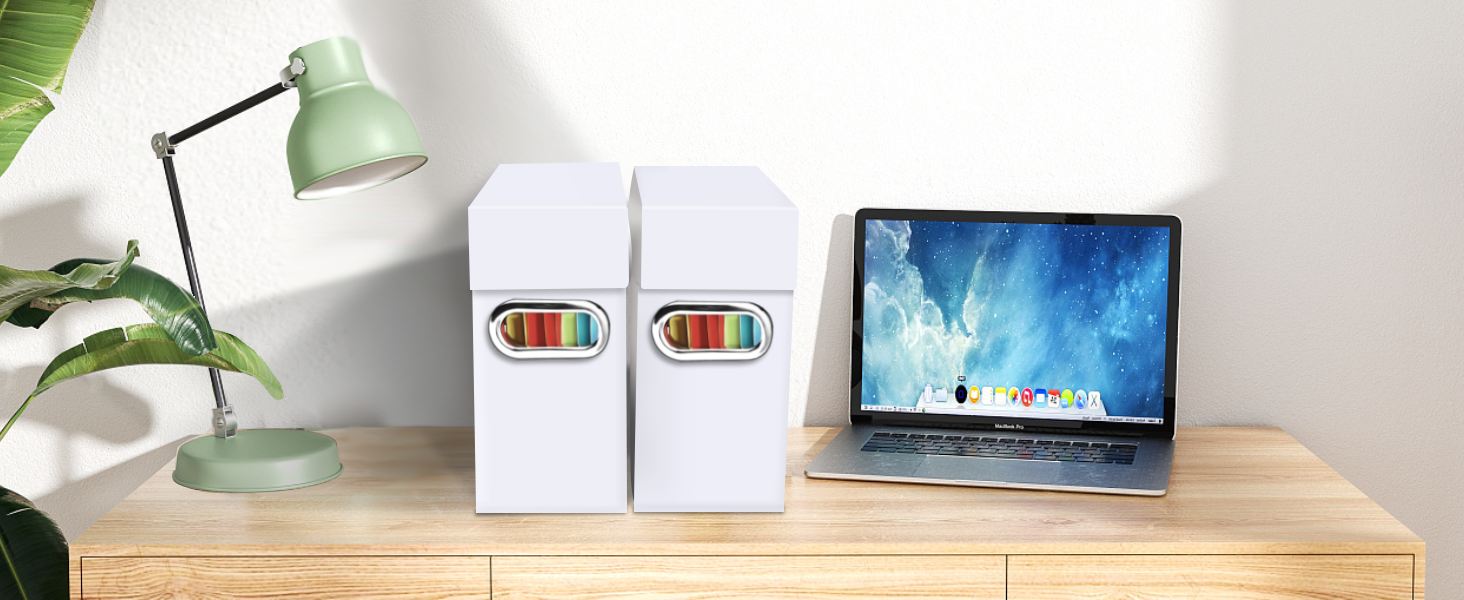 Naleyber File Organizer