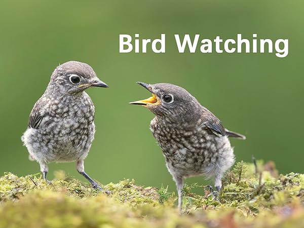 binoculars for bird watching