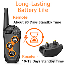 Dog Training Collar
