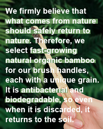bamboo toothbrushes
